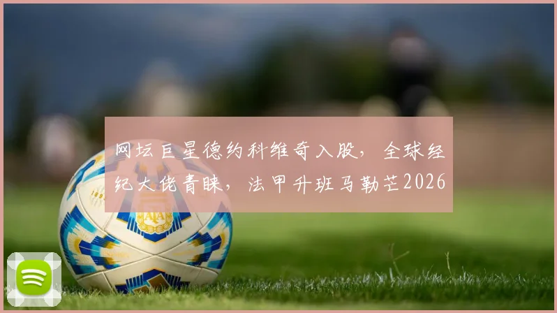 网坛巨星德约科维奇入股，全球经纪大佬青睐，法甲升班马勒芒2026赛季引援与投资策略深度解析